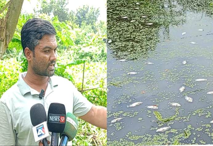 পূর্ব শত্রুতার জেরে সোনারগাঁয়ে পুকুরে বিষ প্রয়োগ, ২লক্ষ টাকার মাছ ক্ষতি, প্রকাশ্যে হত্যার সহ মুর্গীর ফার্ম জ্বালিয়ে দেওয়ার হুমকি